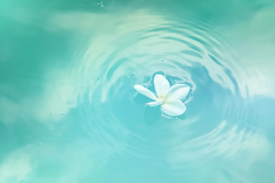 flower floating on water