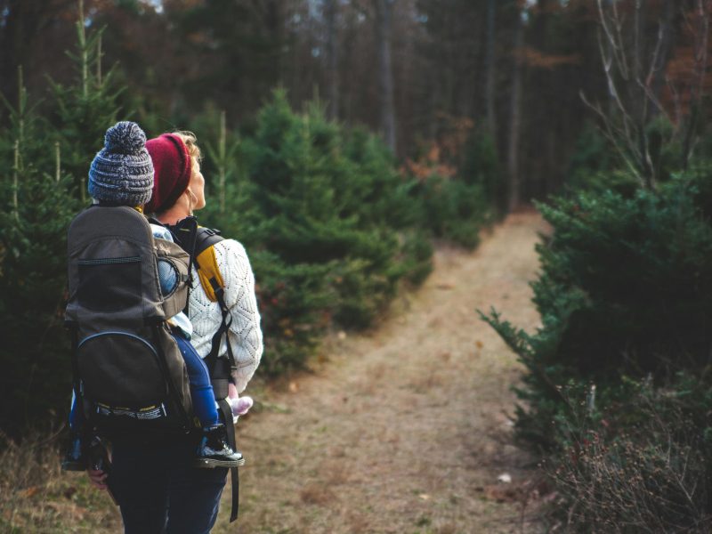 Woman hiking in forest