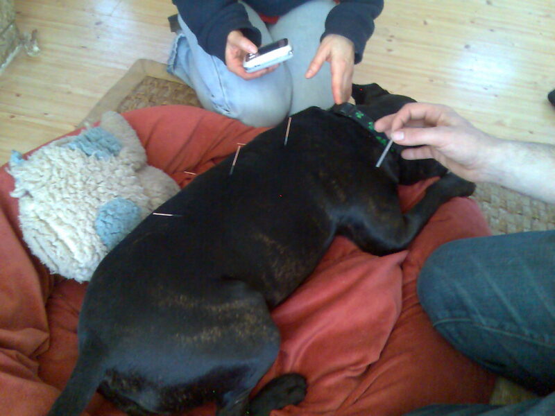 A person lying calmly on a treatment table during an acupuncture session