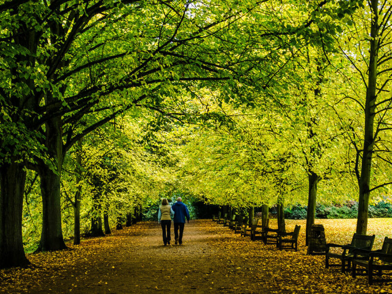 A woman walking along a path through a park with autumn trees
